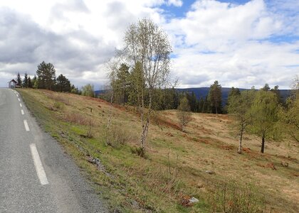 Vestre Slidre kommune har  gjort mye vegetasjonsskjøtsel de siste årene.  - Klikk for stort bilde