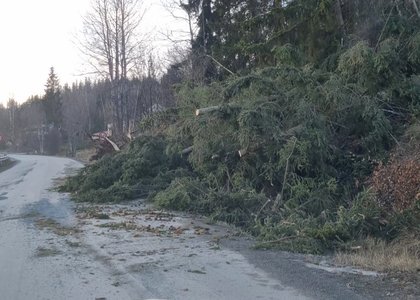 En kraftig storm i november førte til mange trefall over fylkesvegene i Valdres. Her fra fv. 2486 Panoramavegen i Nord-Aurdal.