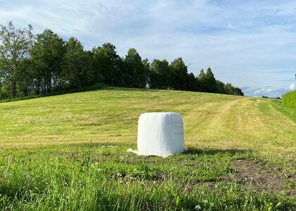 Innlandet fylkeskommune oppfordrer gårdbrukerne til å lagre rundballer tilstrekkelig langt fra offentlig veg.  - Klikk for stort bilde