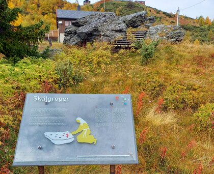 I år skal skålgropssteinene ved Oppdalsstølen i Vang kommune få et løft. - Klikk for stort bilde