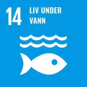 FNs bærekraftsmål 14 - livet under vann - Klikk for stort bilde