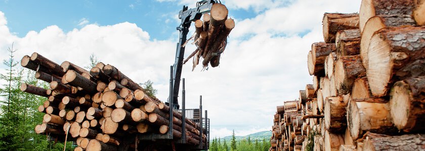 Skogsmaskin laster tømmer - Klikk for stort bilde