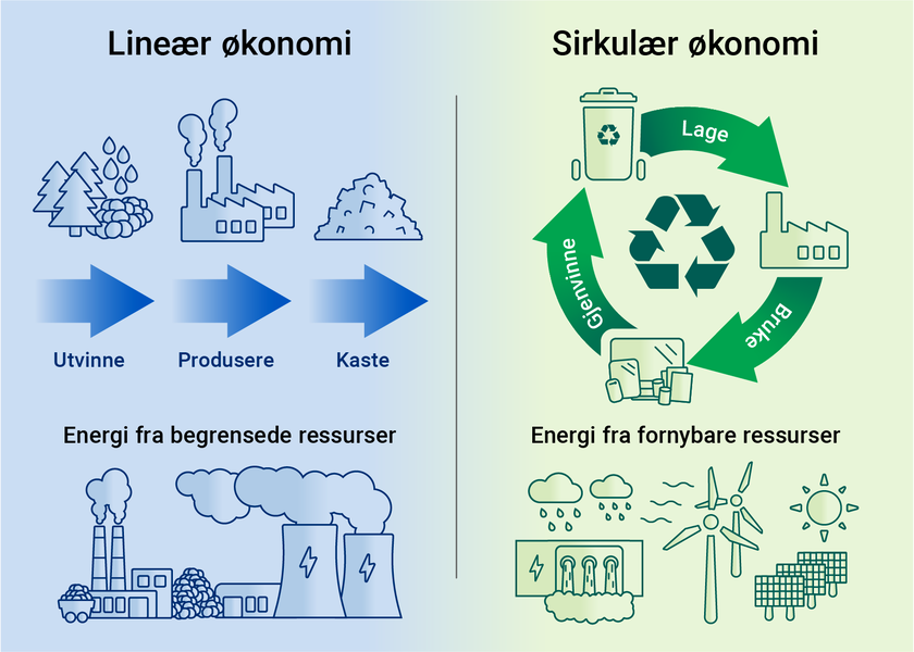 Illustrasjon som viser forskjellen på lineær og sirkulær økonomi. Lineær: Utvinne, produsere, kaste. Energi fra begrensede ressurser. Sirkulær økonomi: Lage, bruke, gjenvinne. Energi fra fornybare ressurser. - Klikk for stort bilde
