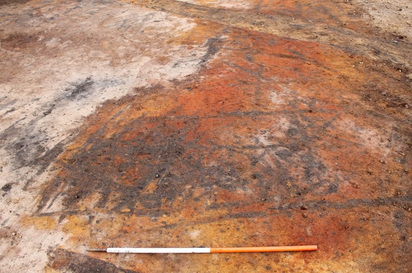 Klikk for stort bilde